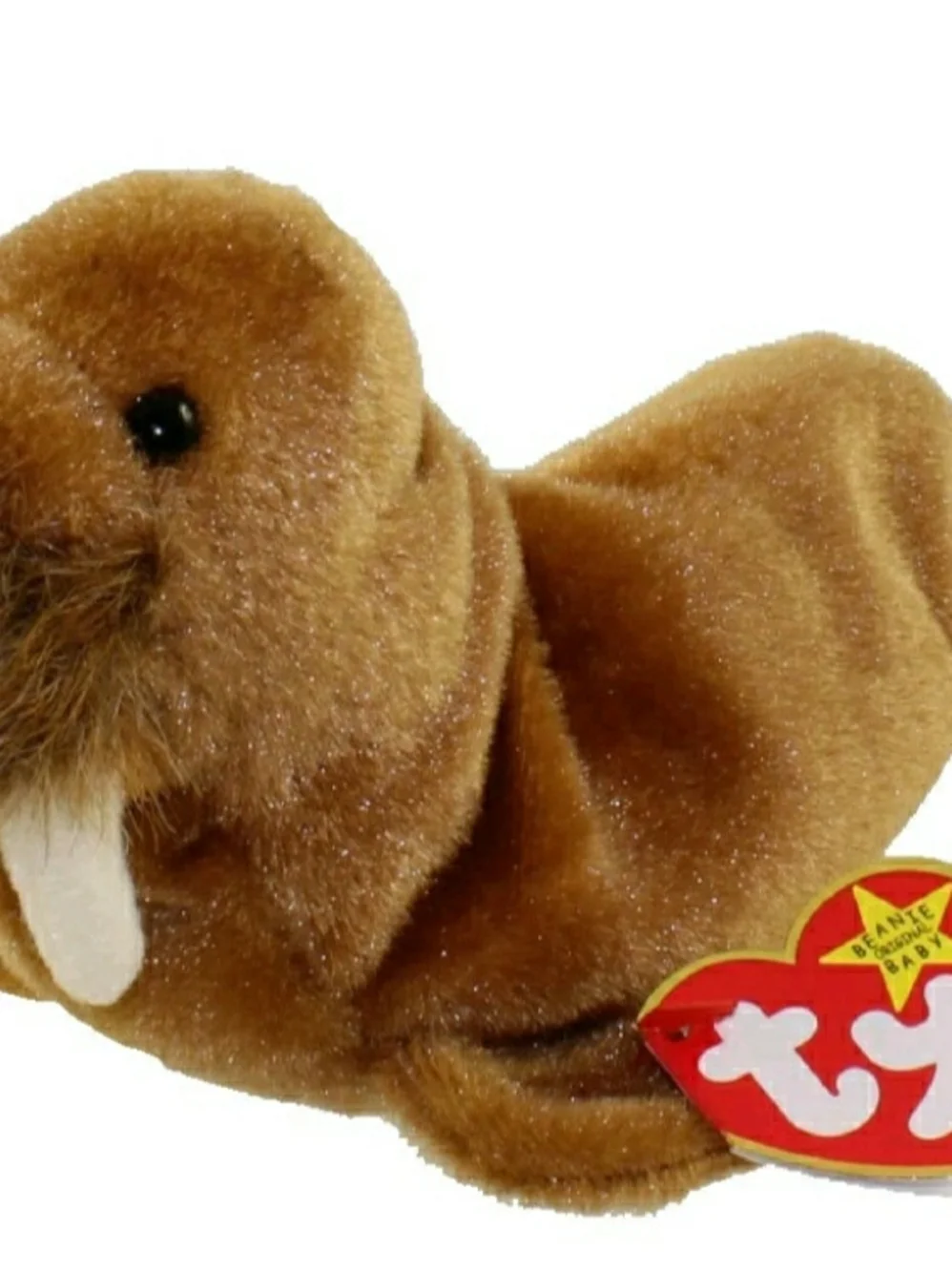 Ty Beanie Baby 7in Brown Plush Walrus Toy PAUL 1999 Never Handled Excellent